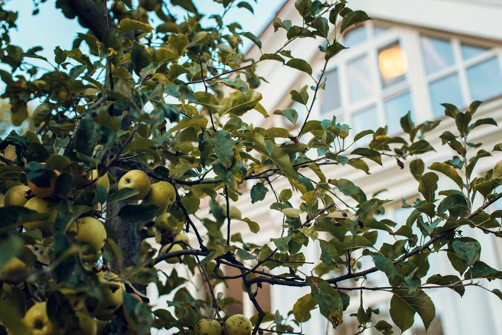 Boutique Hotel Villa P Użhorod Zewnętrze zdjęcie